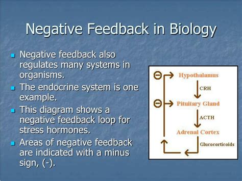 PPT - FEEDBACK MECHANISMS PowerPoint Presentation, free download - ID:4504755