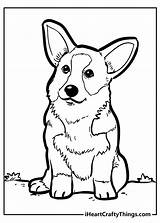 Free Printable Dog Coloring Pages sketch template