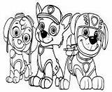 Everest Zuma Skye Paw Patrol Coloring Page Printable sketch template