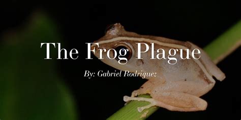 The Frog Plague