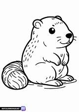 Groundhog Day coloring Pages  Bestcoloringpagesnet sketch template