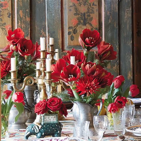 Amaryllis Arrangements - Amaryllis Flowers - Flower Magazine