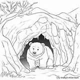 Hibernating Bear Coloring Pages  Free & Printable sketch template