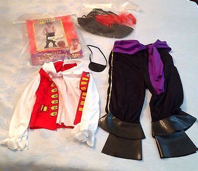 The Wiggles Captain Feathersword Costume Child Size 2-4 | Toddler costumes, Costumes for sale ...