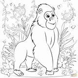 Cute Baby Gorilla Coloring Pages sketch template