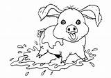 Cerdo Animado Para Colorear Imprimir E Dibujar –ColoringOnlyCom sketch template