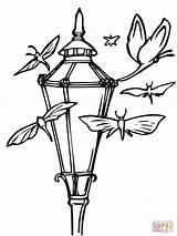 Camping Lantern Coloring Coloring Pages sketch template