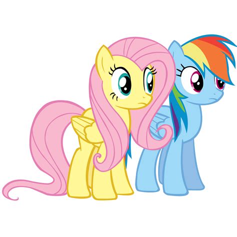 My Little Pony Friendship Is Magic Fluttershy And Rainbow Dash