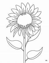 Flower Coloring Pages  50 FREE Printable Printabulls sketch template