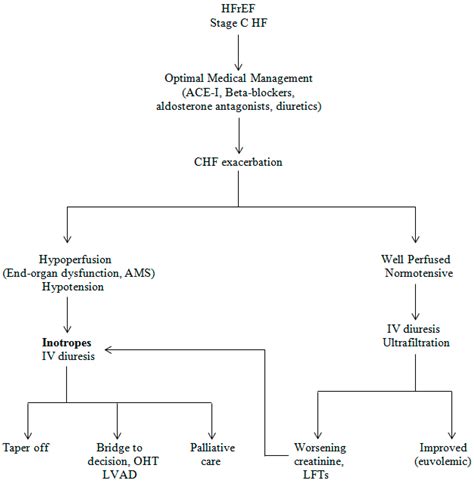 Inotropic effects on the heart