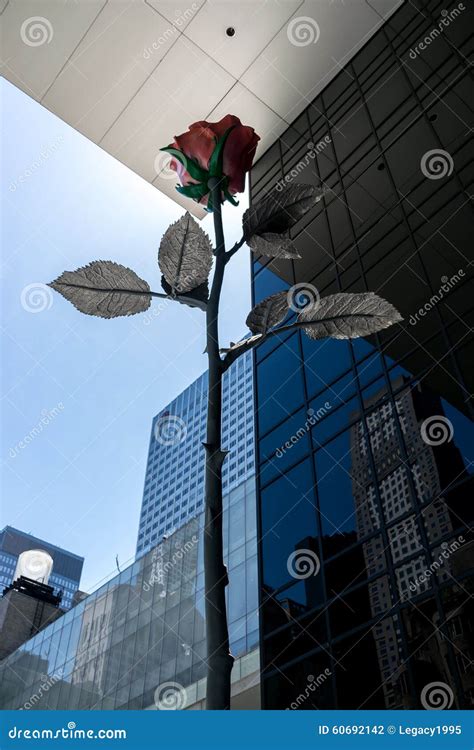 New York City MOMA Sculpture Garden Rose Editorial Photography - Image of portrait, bridge: 60692142