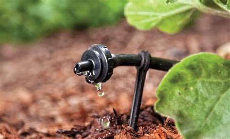 What is Drip Irrigation?