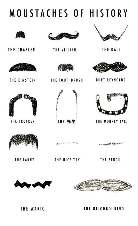 The month of the moustache | The Reflector