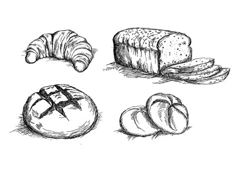 Set of hand drawn bread types vector by Wiktoria Matynia on Dribbble