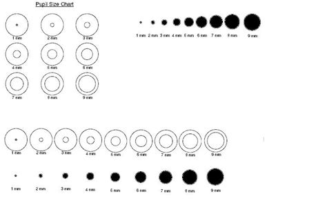 an image of different circles and sizes