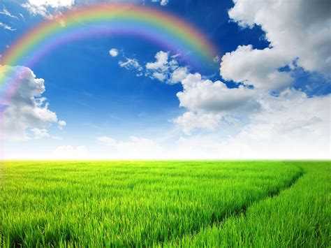 Rainbow Sky Wallpaper