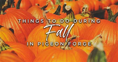 Things to Do During Fall in Pigeon Forge & Smoky Mountains