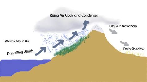 An example of a rain shadow. | Rain shadow, Shadow, Rain