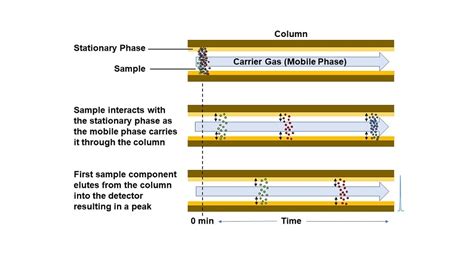 Column Gas Chromatography