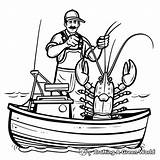 Lobster Coloring Pages  Free & Printable sketch template