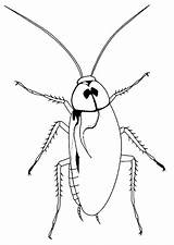 Free Printable Cockroach Coloring Pages For Kids sketch template