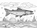 Serene Lake Trout Adult Coloring  Page sketch template