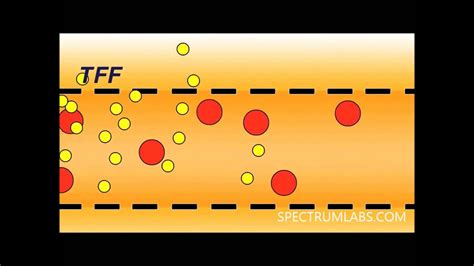 Ultra Microfiltration; Diafiltration and Dialysis Application - YouTube