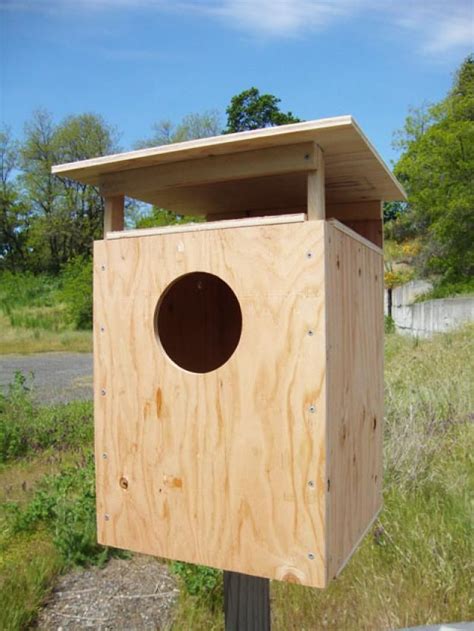 Pellet Lab - Nesting Boxes | Barn Owl, Bat and Tree Swallow | Nesting boxes, Barn owl, Owl nest box