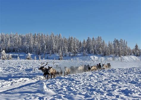 Oymyakon | Series '15 Sparsely Populated Places for Solitude with Wildlife' | OrangeSmile.com