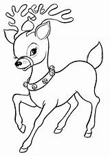 reindeer coloring sheets Printable Reindeer pages & Books sketch template