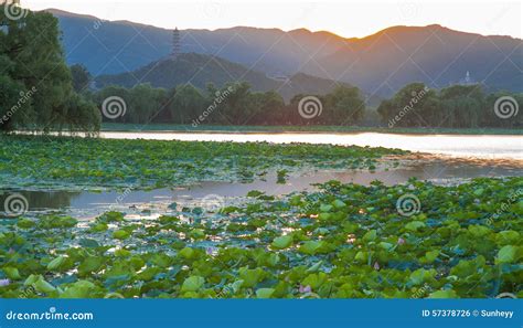 Summer palace sunset stock photo. Image of ethnic, house - 57378726