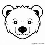 Polar Bear Face Coloring Page sketch template