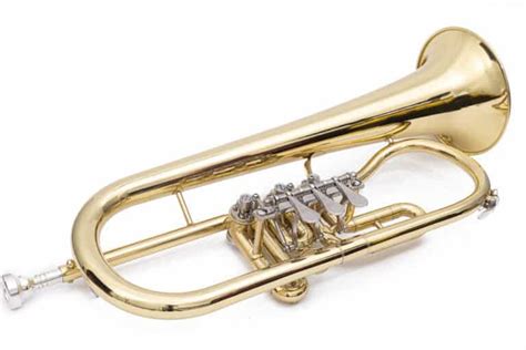 10 Best Rotary Trumpets (Cheap To High-End)