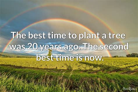 30 Tree Plantation Quotes to Inspire the Environmentalist in You