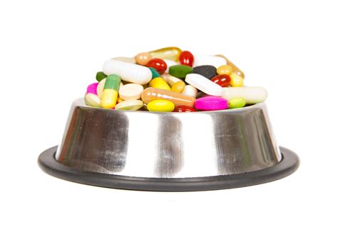 Pet Meds: Avoiding an Adverse Reaction