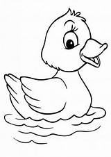 Free & Easy To Print Duck Coloring Pages  Tulamama sketch template