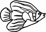 Simple Angelfish sketch template