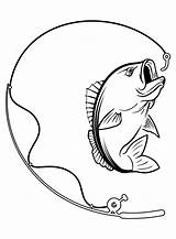20  Bass Fish Coloring Pages Free Printable PDF & Online sketch template