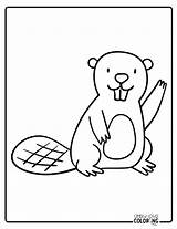 Beaver Coloring Pages Free PDF Printables  Simply Love sketch template