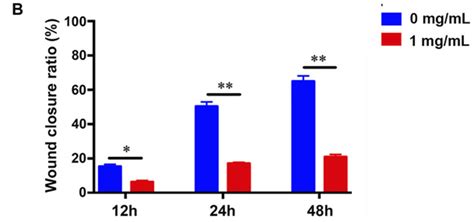 Effect of Fucoidan on genetic alterations in lung cancer cells (LCC ...