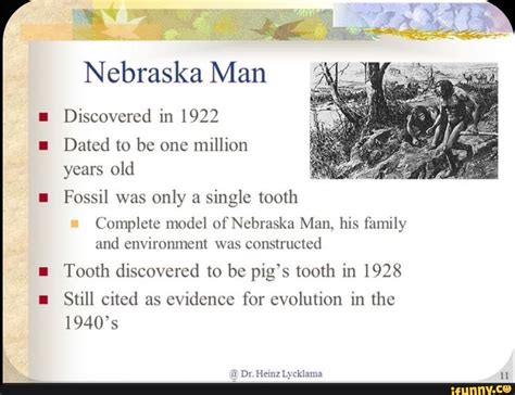 Nebraska Man Discovered in 1922 Dated to be one million years old Fossil was only a single tooth ...