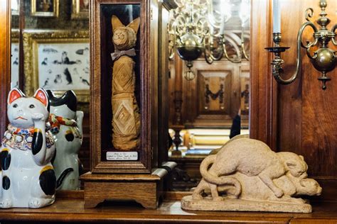 Inside the KattenKabinet: The cat museum in Amsterdam is a cabinet of ...