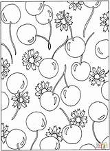 Cherry Coloring Pages To Make Kids Happy Sketch Page sketch template