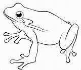 Toads Coloring Pages  ColoringBay sketch template
