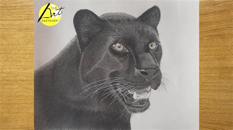 Drawing a Black Jaguar Animal with Graphite Pencils || Black Jaguar Drawing Time Lapse - YouTube