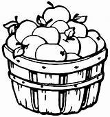 Basket Of Apples  Coloring Page Apple coloring Pages Fruit sketch template