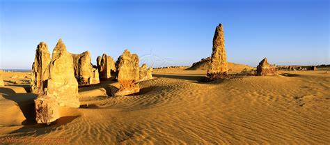 Pinnacles Desert at sunrise panorama photo WP00866