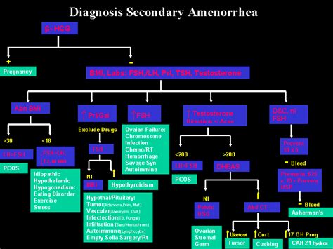 Diagnosis Secondary Amenorrhea