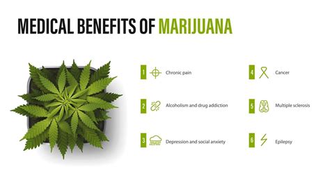 Medical benefits of marijuana, white poster with infographic and bush ...