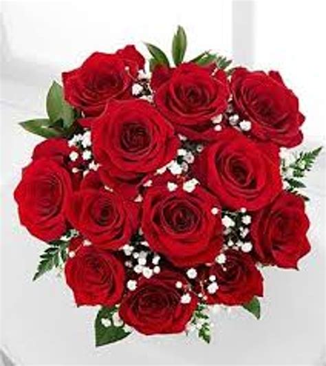 One Dozen Red Roses Wrapped Bouquet/send today for sending love on ...